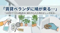 「賃貸ベランダに鳩が来る…100均でできる撃退法と巣を作られた時の正しい対処法」